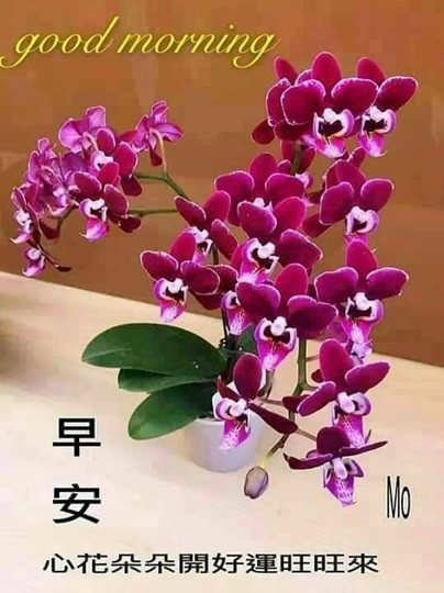 按我可連結至更清楚的圖片